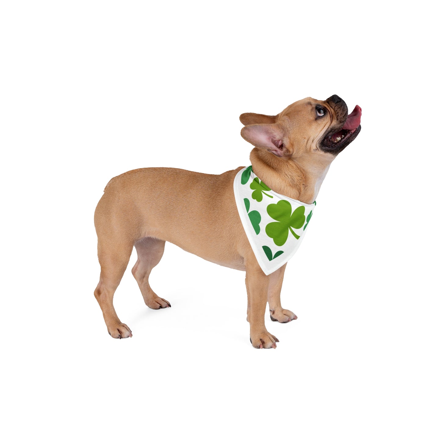 Shamrock Pet Bandana – St Patrick’s Day Dog Bandana, Lucky Clover Pet Scarf, Green Dog Bandana, Festive Pet Accessory